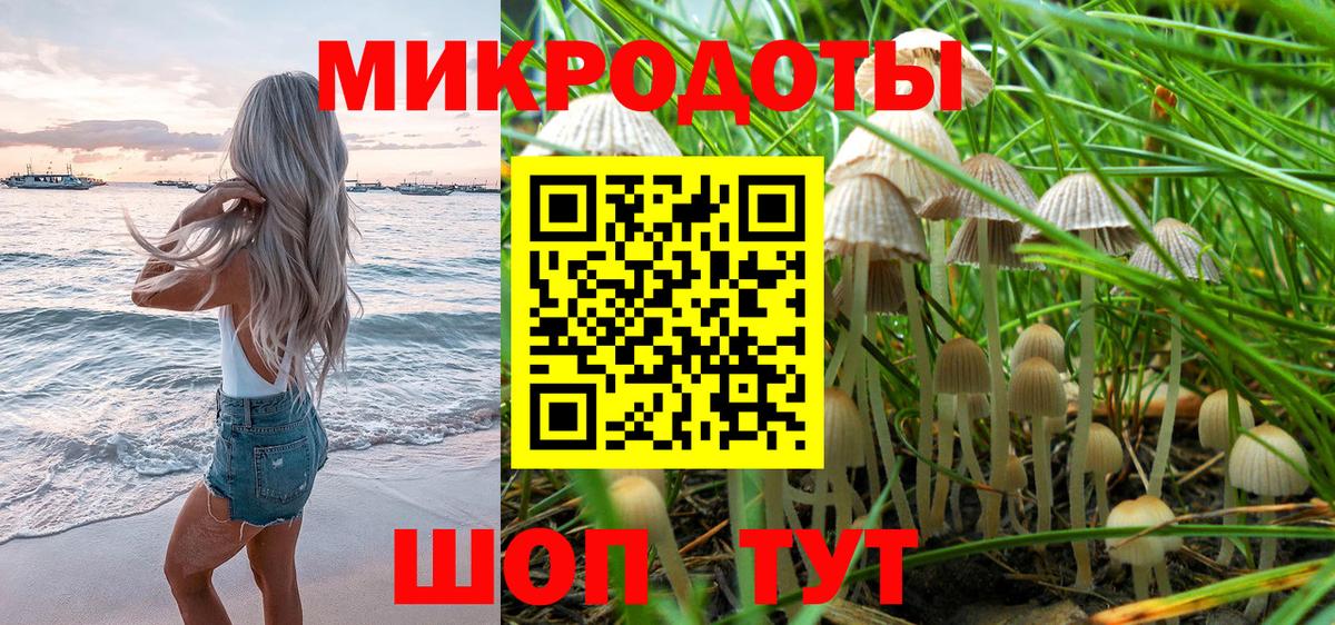 Псилоцибиновые грибы прущие грибы Еманжелинск