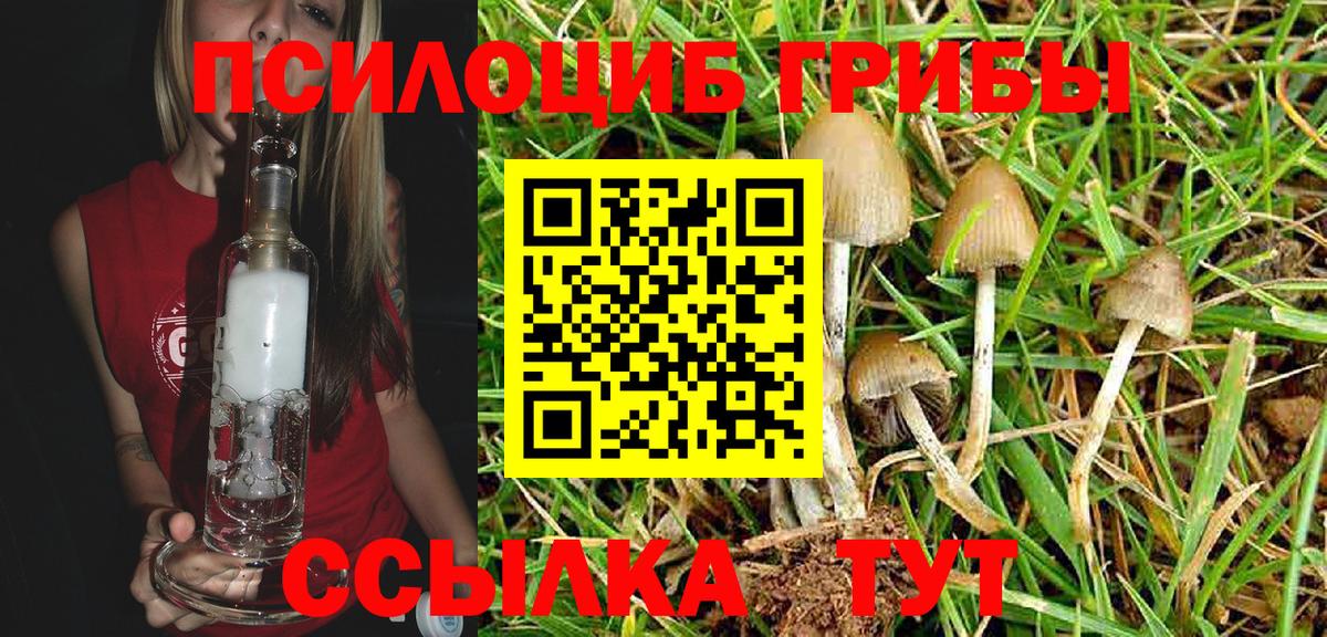 Галлюциногенные грибы MAGIC MUSHROOMS  Псилоцибиновые грибы Magic Shrooms  цена наркотик  Еманжелинск  Вход с VPN 